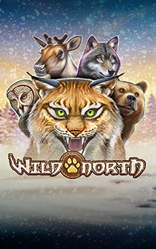 wild_north_radiant_skies_go_collect